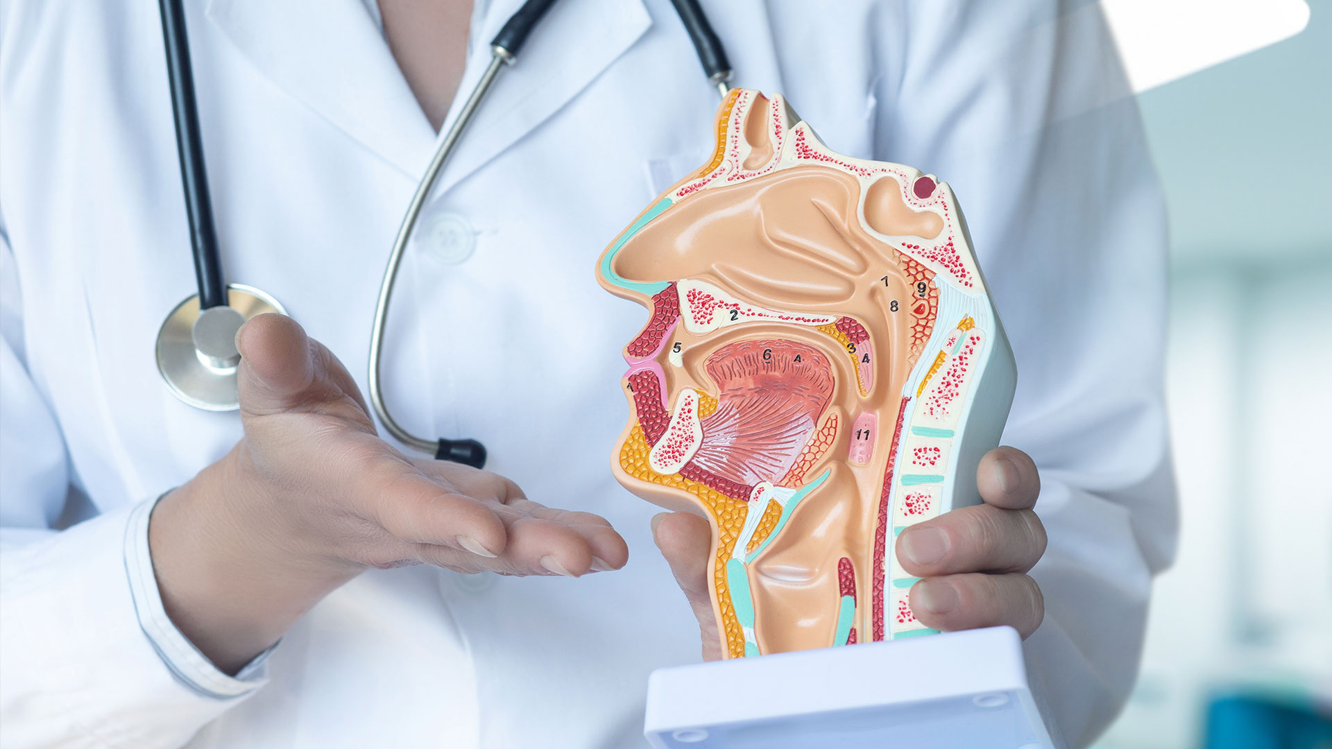 ENT New York | Thyroid Parathyroid, Voice Throat Evaluation and Allergy Consultation