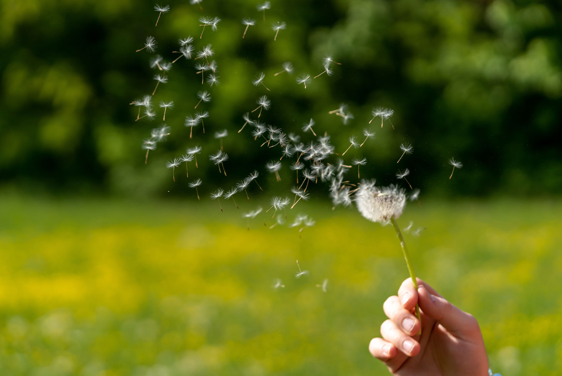 ENT New York | Allergy Consultation, Ear Infection and Neck Masses