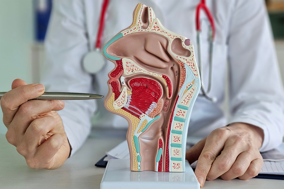 ENT New York | Allergy Consultation, Ear Infection and Neck Masses