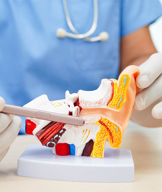 ENT New York | Voice Throat Evaluation, Allergy Consultation and Sleep Apnea