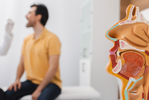 ENT New York | Voice Throat Evaluation, Ear Infection and Allergy Consultation